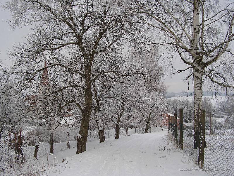 P1170251.JPG