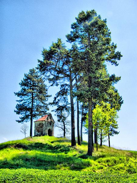 P5200203.jpg - OLYMPUS DIGITAL CAMERA