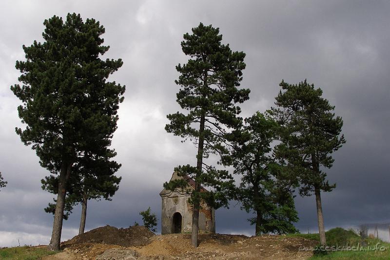 P7220513.JPG