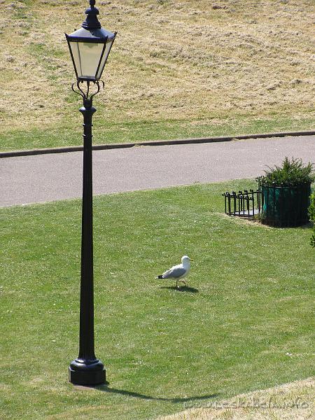 0677 - Dover castle.JPG