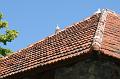 IMG_4322 kopie