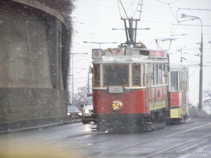 P1310303.JPG